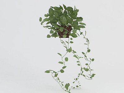3d绿萝盆栽模型