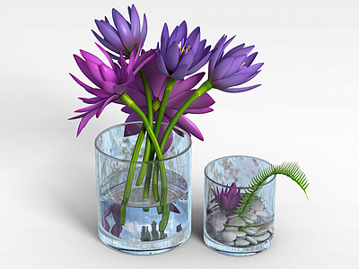 3d水养花卉模型