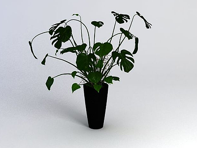 绿植3d模型
