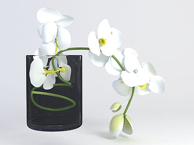 装饰花卉3d模型