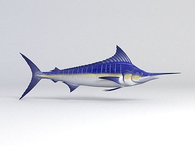鱼模型3d模型