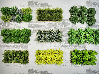 3d绿化植物墙组合模型