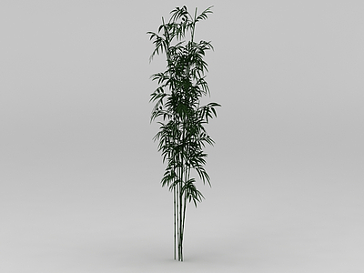 3d绿竹模型