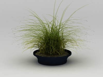 绿植盆栽模型3d模型