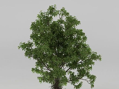 公园绿树模型3d模型