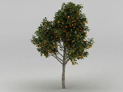 3d<font class='myIsRed'>橘子树</font>免费模型