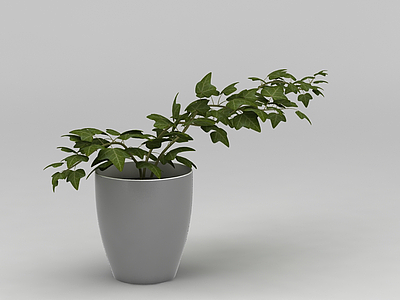 3d室内花盆绿植免费模型