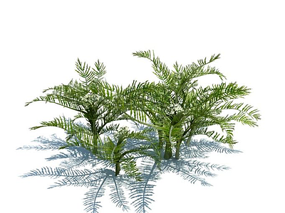 植物花草模型3d模型