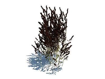 3d植物免费模型