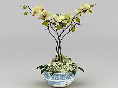 兰花花盆模型3d模型