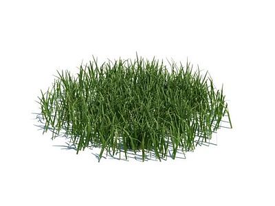 绿草3d模型