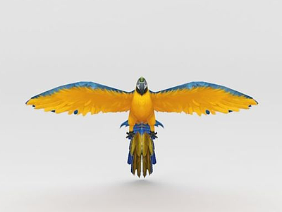 鹦鹉3d模型