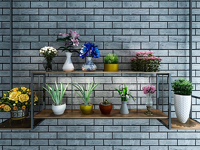 墙壁花架植物盆栽组合3d模型