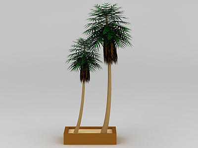 3d仿真椰子树装饰免费模型