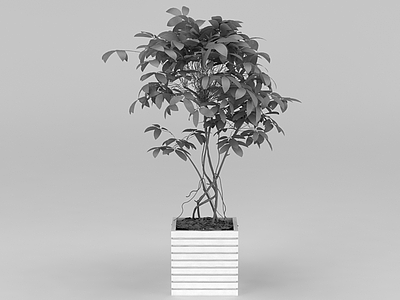 庭院绿植盆栽模型3d模型