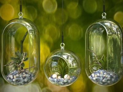 3d悬挂式玻璃花瓶植物模型