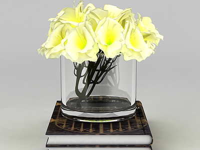 3d书和玻璃杯花模型