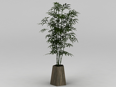 3d庭院竹子盆栽免费模型