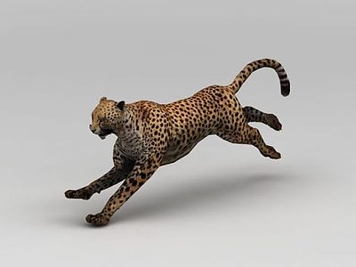 3d奔跑的豹子模型