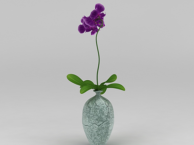 兰花花瓶模型3d模型