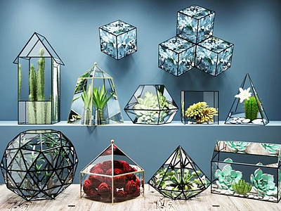 3d多肉植物几何玻璃花房模型