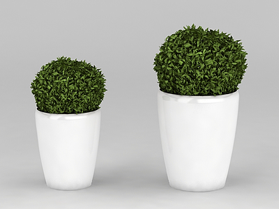 室内绿植盆景模型3d模型
