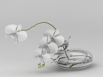 3d水培花卉免费模型