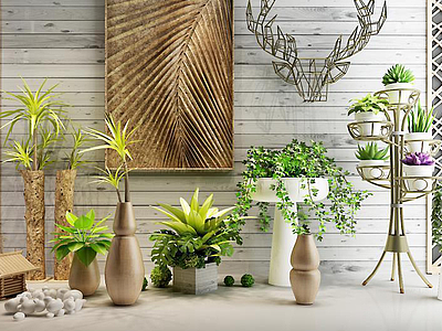 3d现代室内植物盆栽模型