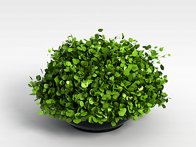 3d绿植花盆模型