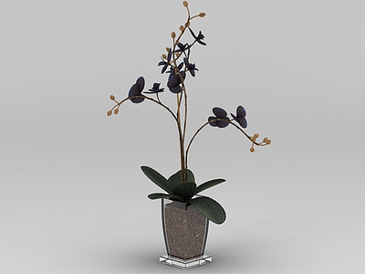 花艺花盆模型3d模型