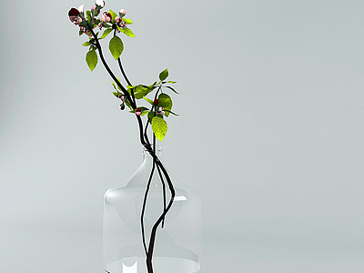 3d现代海棠树枝花瓶装饰模型