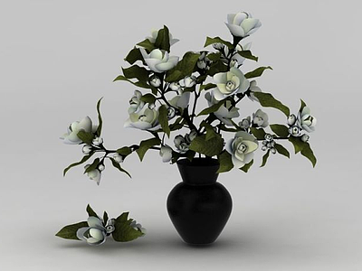 3d白玫瑰花卉模型