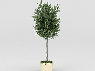 仿真花盆绿树模型3d模型