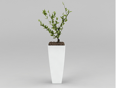 室内绿植盆栽模型3d模型