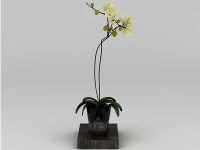 3d精美装饰花瓶摆件免费模型