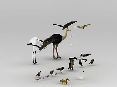 一群鸟模型3d模型