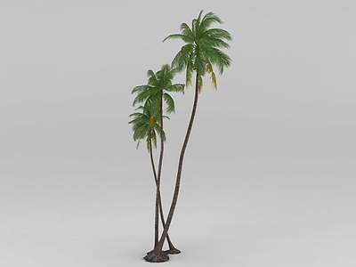 椰子树3d模型