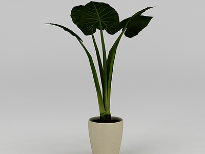 3d室内绿植盆栽免费模型