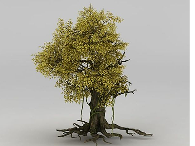3d胡杨树模型