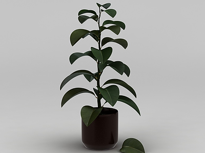 3d灌木绿植盆栽模型