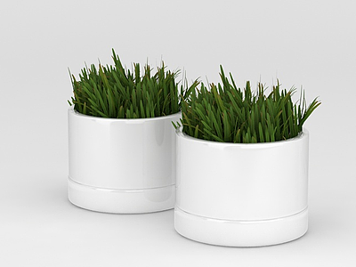 3d室内迷你绿植盆栽免费模型
