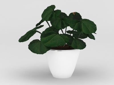 室内绿植花盆摆件模型3d模型