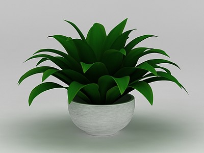 办公室绿植盆栽模型3d模型