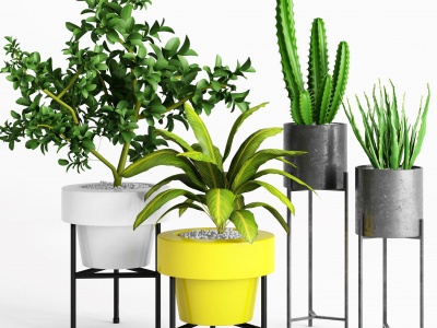 3d现代室内绿植盆栽模型