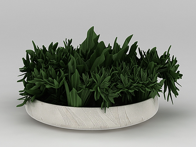 室内绿植盆栽摆件模型3d模型