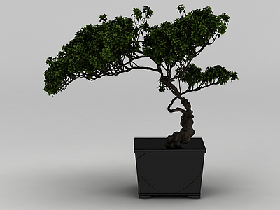 中式盆景盆栽模型3d模型
