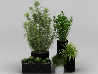 办公室绿植盆栽3d模型