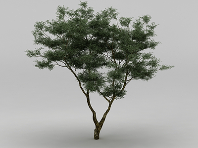3d<font class='myIsRed'>景观树</font>免费模型