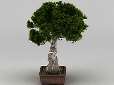 户外精品大树盆栽模型3d模型