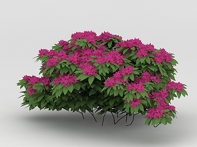 植物景观花草模型3d模型